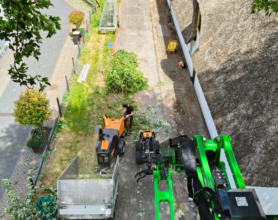 Hans Boogaard Boomverzorging