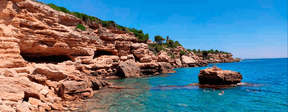 Descubre el mundo del buceo con Plancton Diving