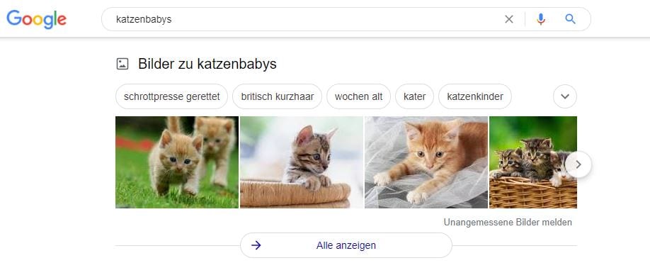 Google Bilder Ranking dank Alt-Attribut