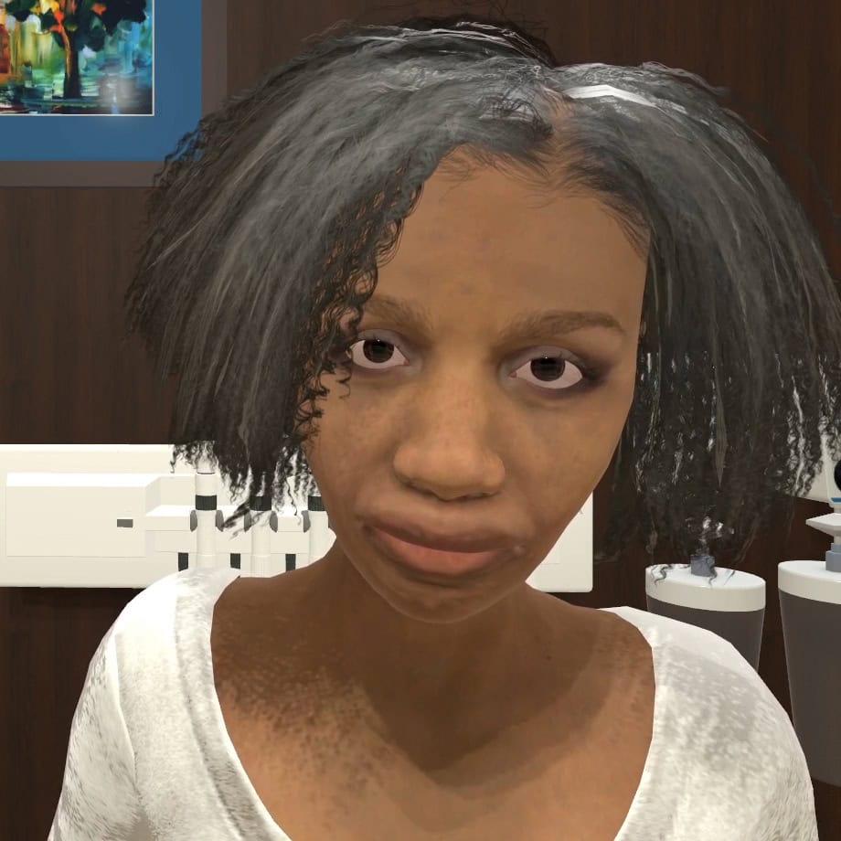 12 High fidelity virtual patient configured for EMS simulation