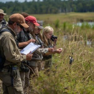 Global bird conservation efforts led by international organizations sharing data and advising on bird protection laws