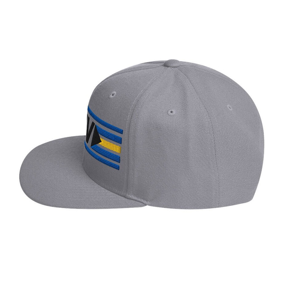 Snapback Hat