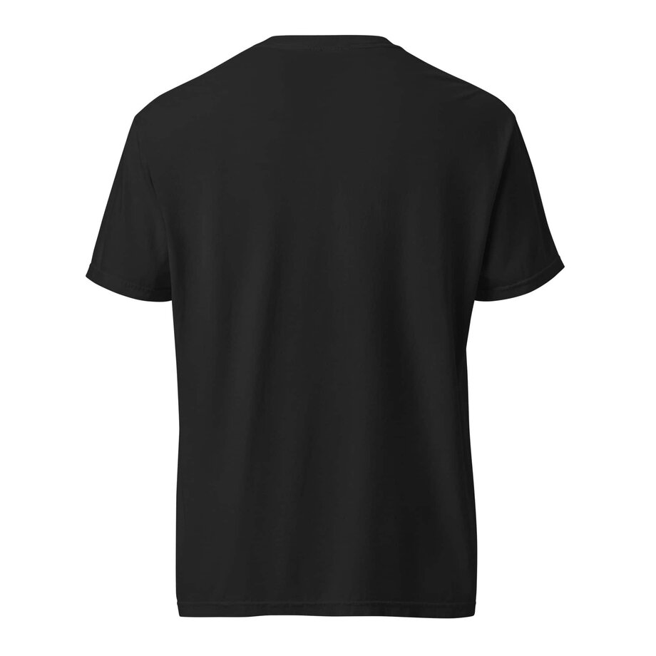 Unisex Heavyweight T-shirt