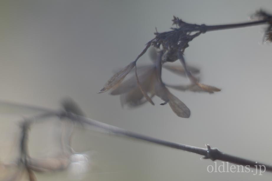 希少　初期玉　helios44 58mm f/2レンズ　グルグルぼけ 希少 初期玉 helios44 58mm f/2レンズ グルグルぼけ 希少 初期玉