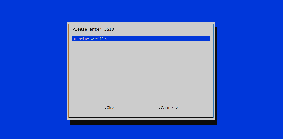 raspi config ssid example