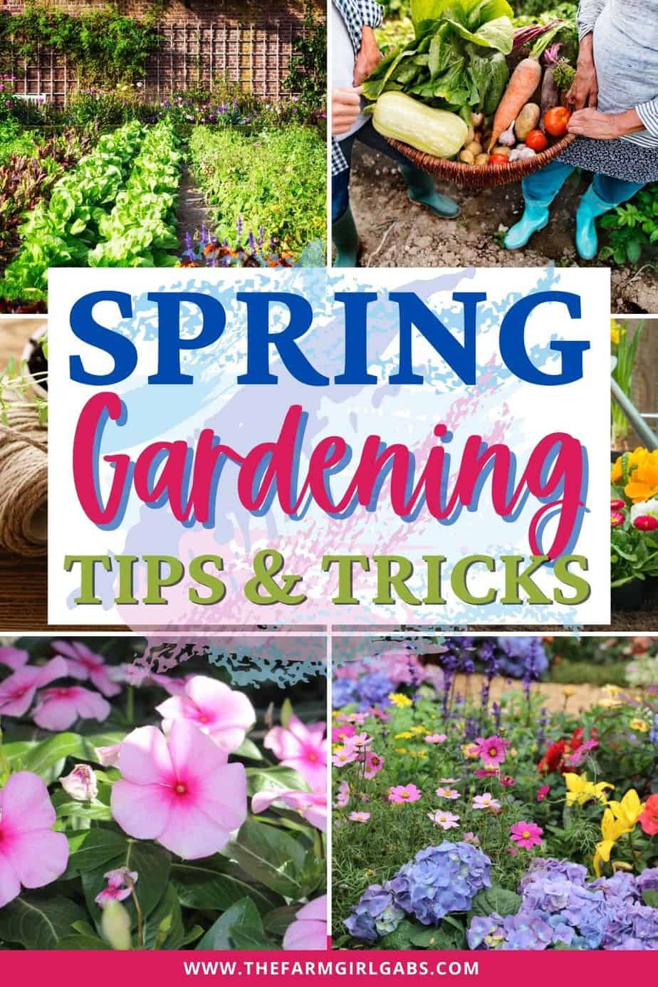 It's never too early to start planning your spring flower garden. These helpful tips for a better Spring Flower Garden with get your garden growing in no time. Growing a flower garden adds color and beauty to your landscape. Follow these flower gardening tips for the best garden growing success this spring.