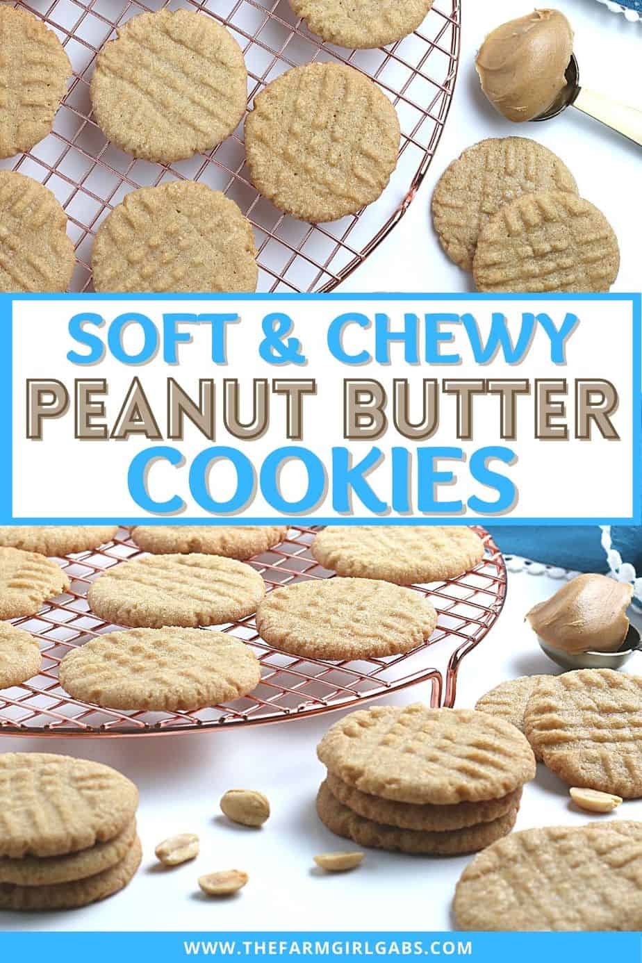 Why buy cookies at the store when you can make fresh ones at home? Follow this Easy Peanut Butter Cookies recipe to make sweet and tasty cookies from scratch.