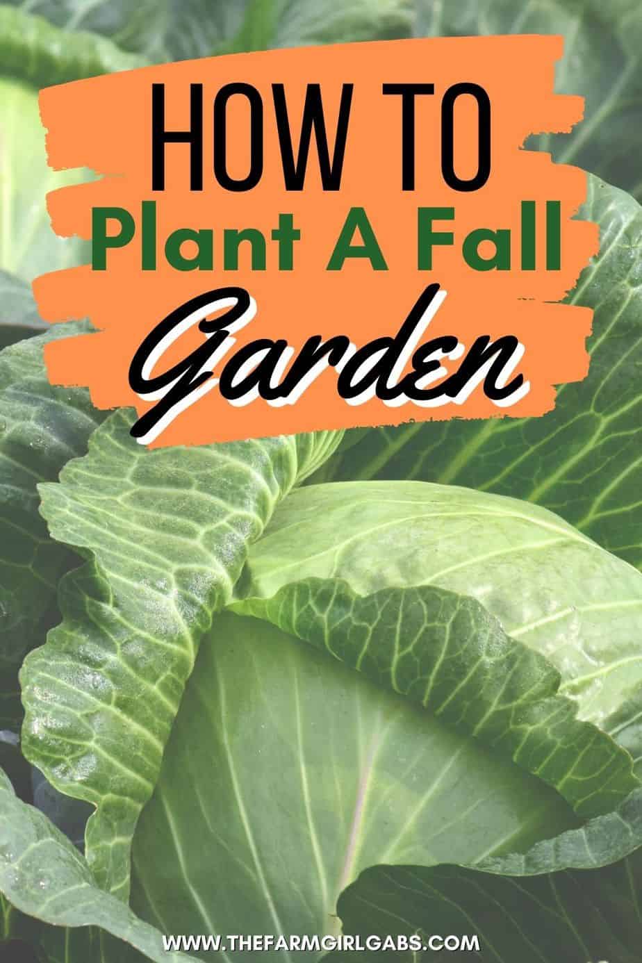 Fall is still a perfect time to enjoy some vegetables from your garden. Here are five easy fall vegetables to grow from seed. Learn how to grow a fall vegetable garden. Follow these easy fall gardening tips for the best vegetables to plant in a fall garden. Download a free gardening book too.