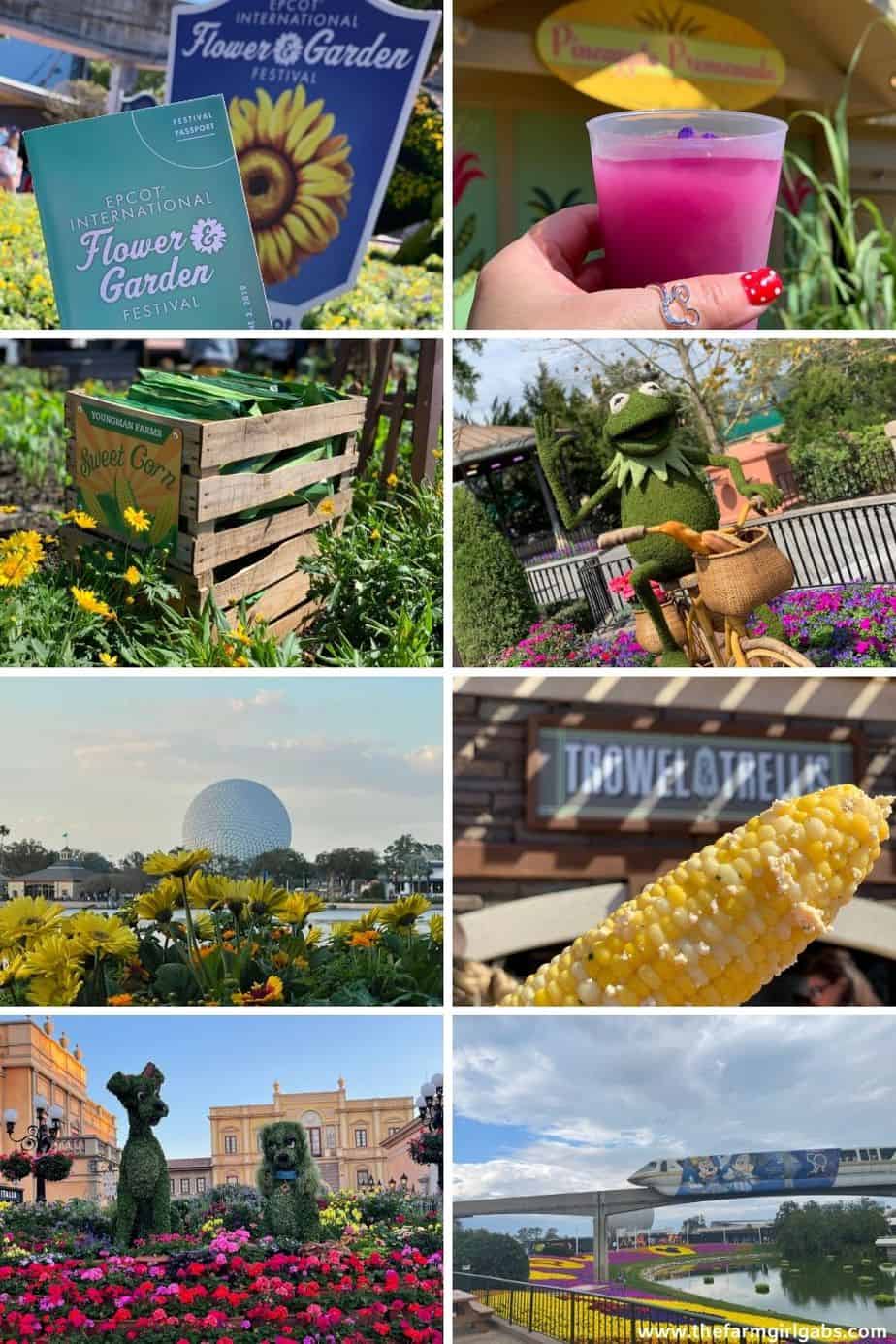 ly thing in bloom at this year's Epcot International Flower and Garden Festival. Take your tastebuds on a culinary adventure by visiting the outdoor kitchens at this year's 2022 Epcot International Flower And Garden Festival. 