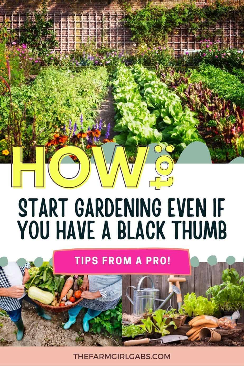 Gardening is a great way to provide for your family and save money. Here are tips for How to start gardening if you have a black thumb. Read these helpful gardening tips for beginners. Download a free gardening printable too. Grab your copy of a free vegetable gardening guide.