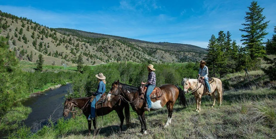 watching river on horseback