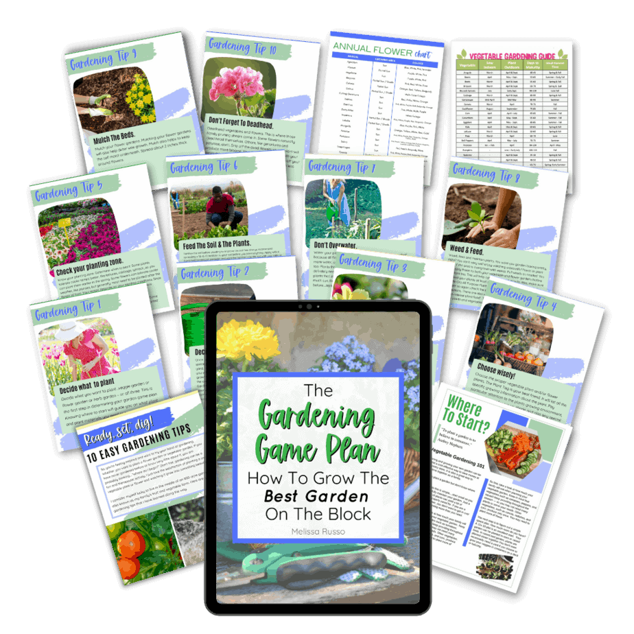 Gardening for beginners ebook