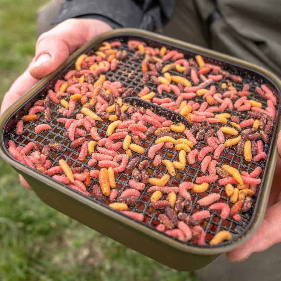 Korum Maggot Tub and Riddle – Bild 2