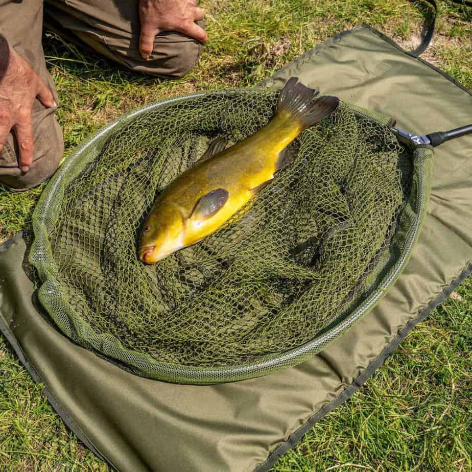 Korum Progress Roll Mat – Bild 3