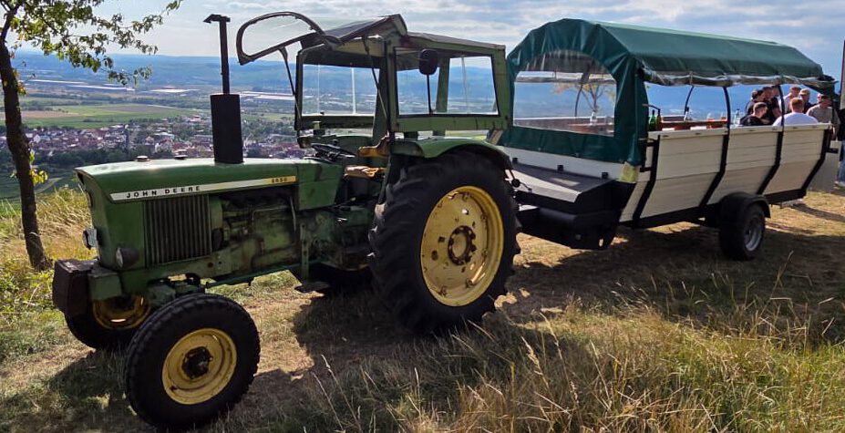 Weinprobe "Wine on Wheels" mit Planwagenfahrt durch die Weinberge bei Bingen-Dromersheim von Weingut Wirth