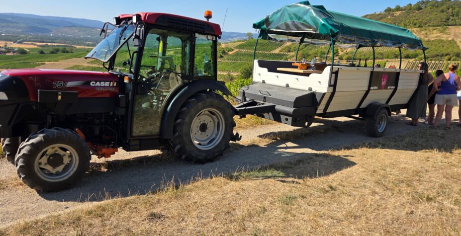 Gäste bei der Planwagenfahrt mit Traktor durch die Weinberge von Weingut Wirth in Bingen