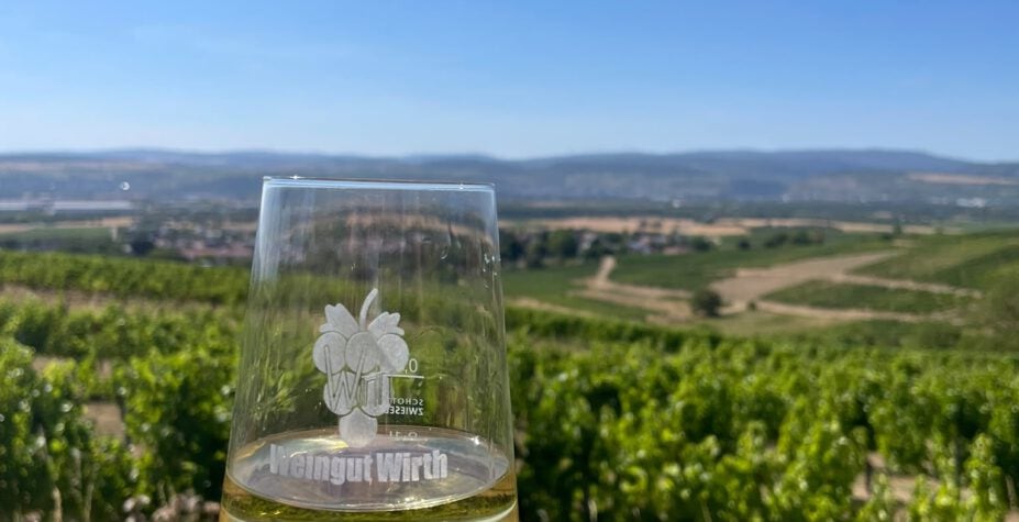 Weinglas von Weingut Wirth bei der Weinverkostung mit Blick auf die Weinberge