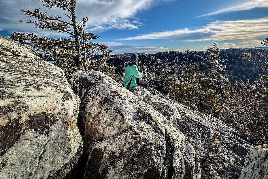 About the Art Loeb Trail Project