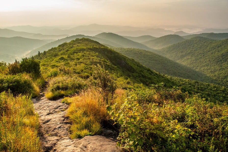 Golden hour on top of Tennent Mountain