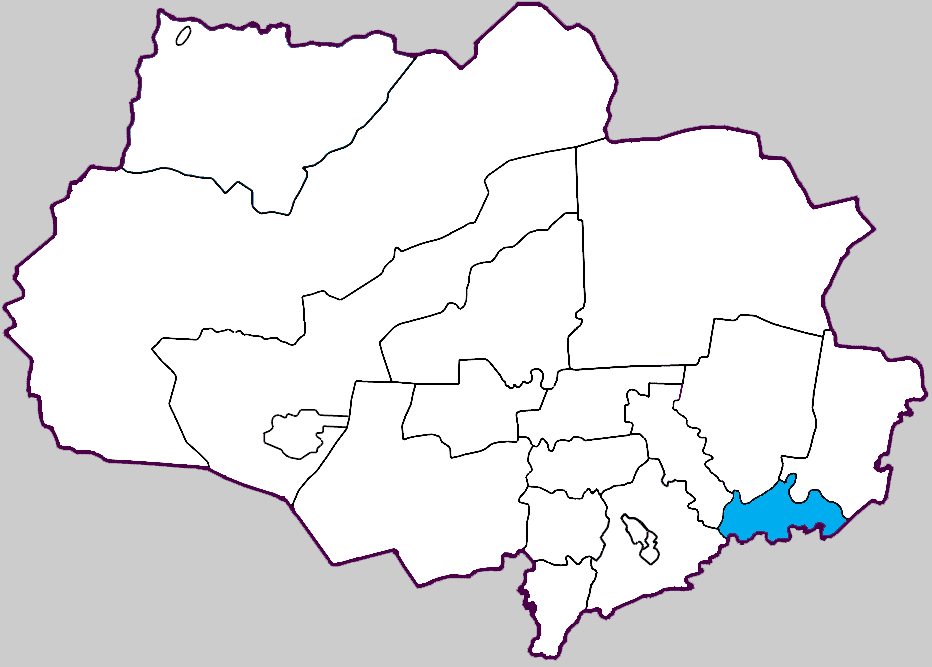 Зырянский район
