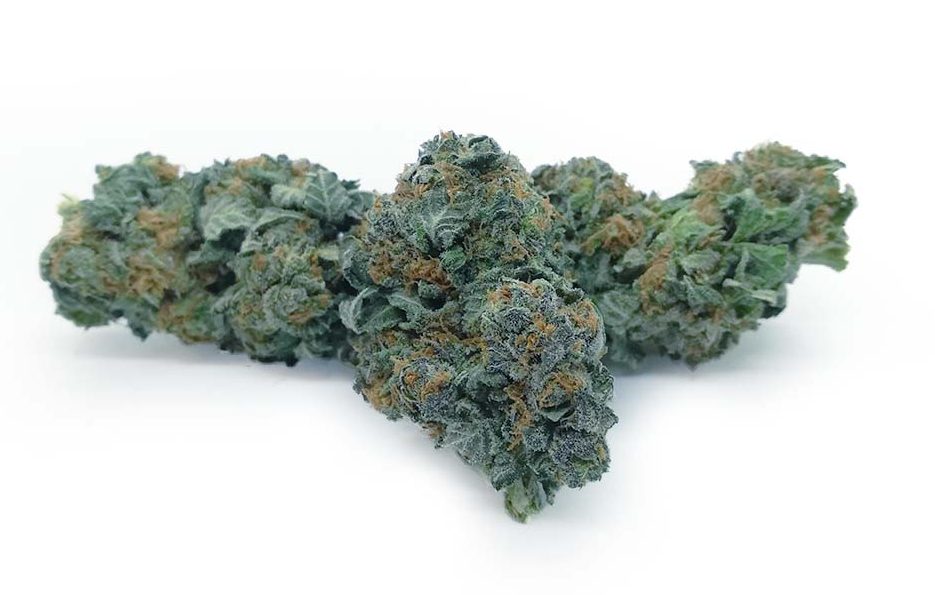 Trainwreck OG strain AAAA bulk flower for adults 21+