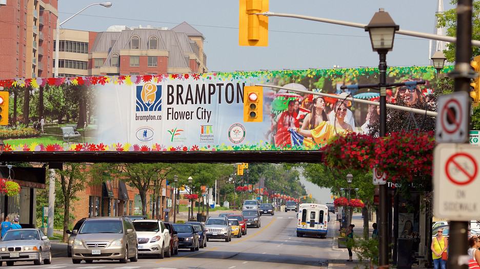 Who is Reva Westfield Brampton Best For? A Real-World Investment Guide - Brampton Plumbers 1