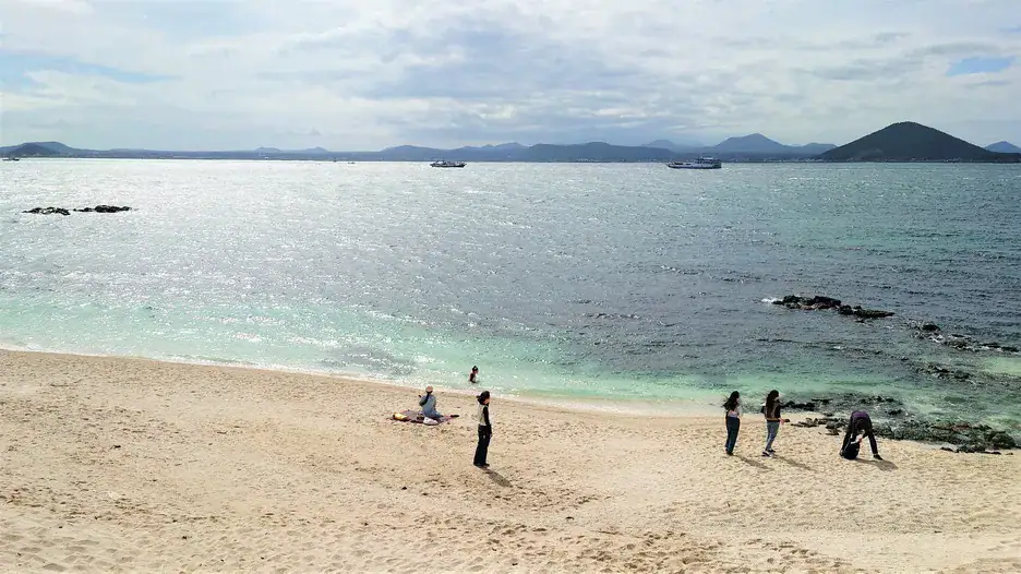 濟州牛島