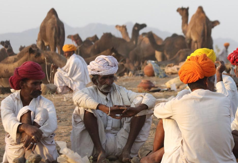 पुष्कर मेला Pushkar Mela