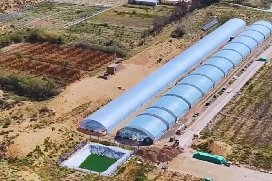 China siembra microbios para convertir el desierto en tierra cultivable 1 china science daily.