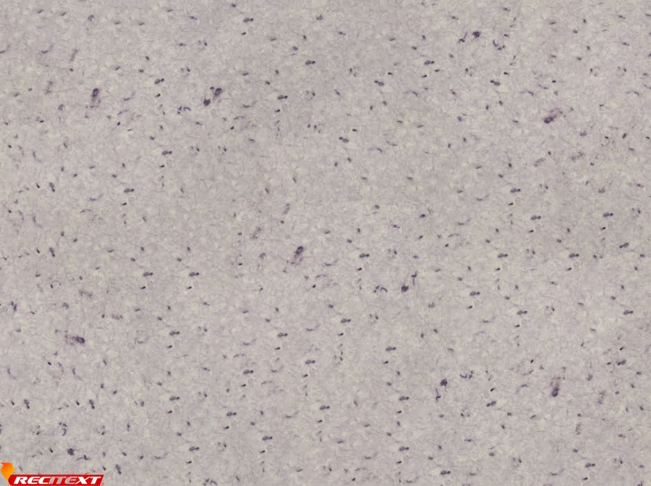 d28