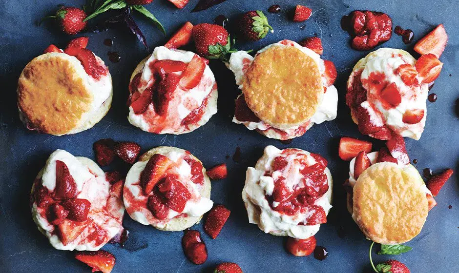 Best fresh basil recipes