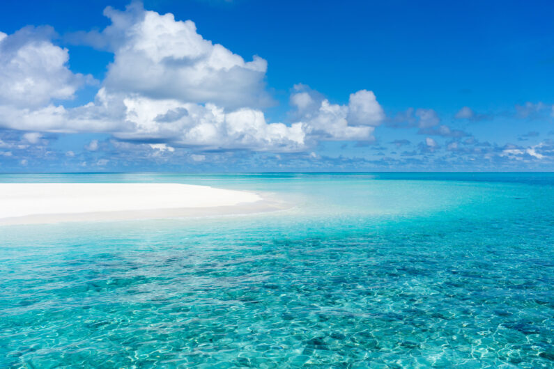 夏海
