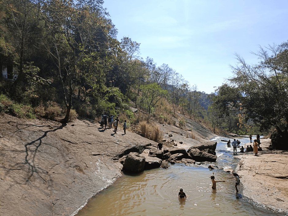 Nishi Pulugurtha_Lambasinghi