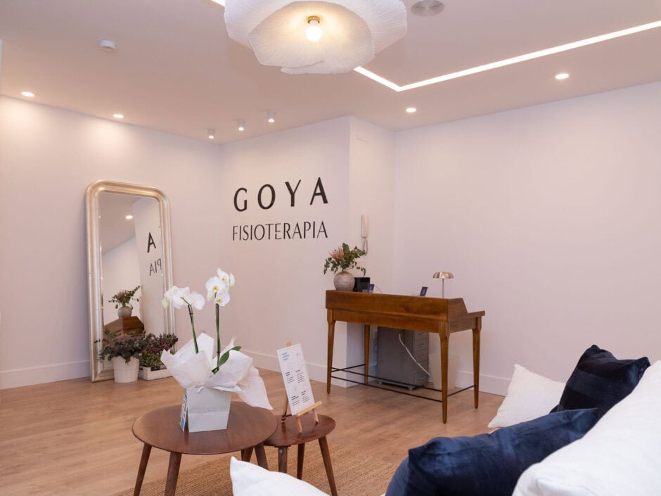 fisioterapia-goya-recepcion2