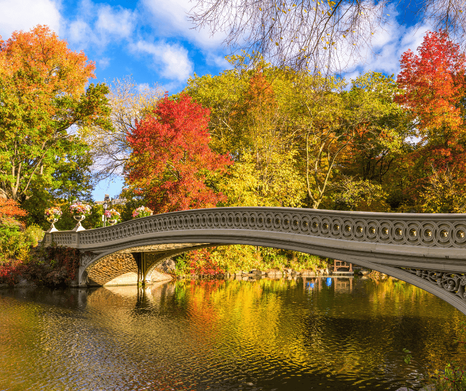 Flowers and ornate bridge over a calm river in a park during fall foliage.