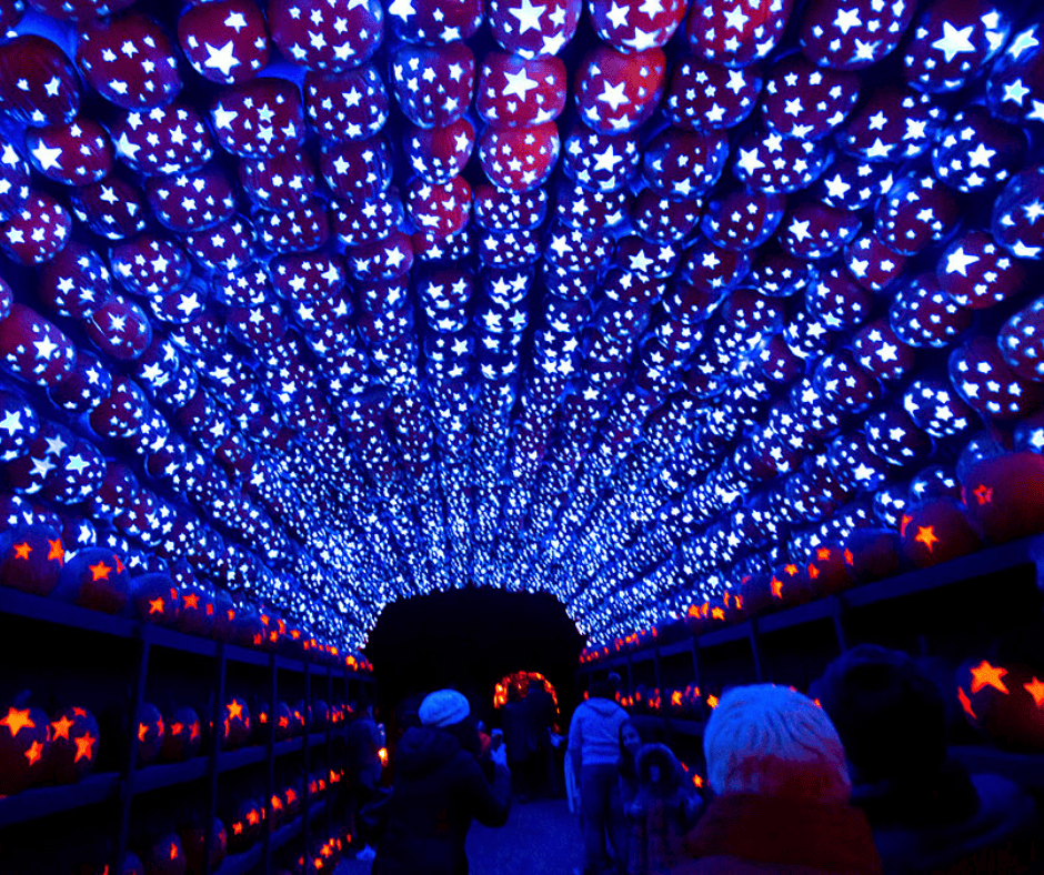 LED star lantern tunnel illuminated at night, perfect for festive outdoor holiday displays.