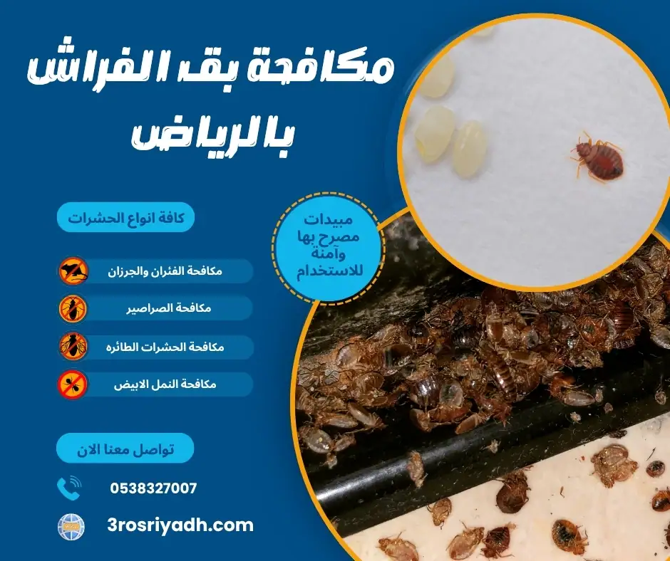 مكافحة بق الفراش بالرياض