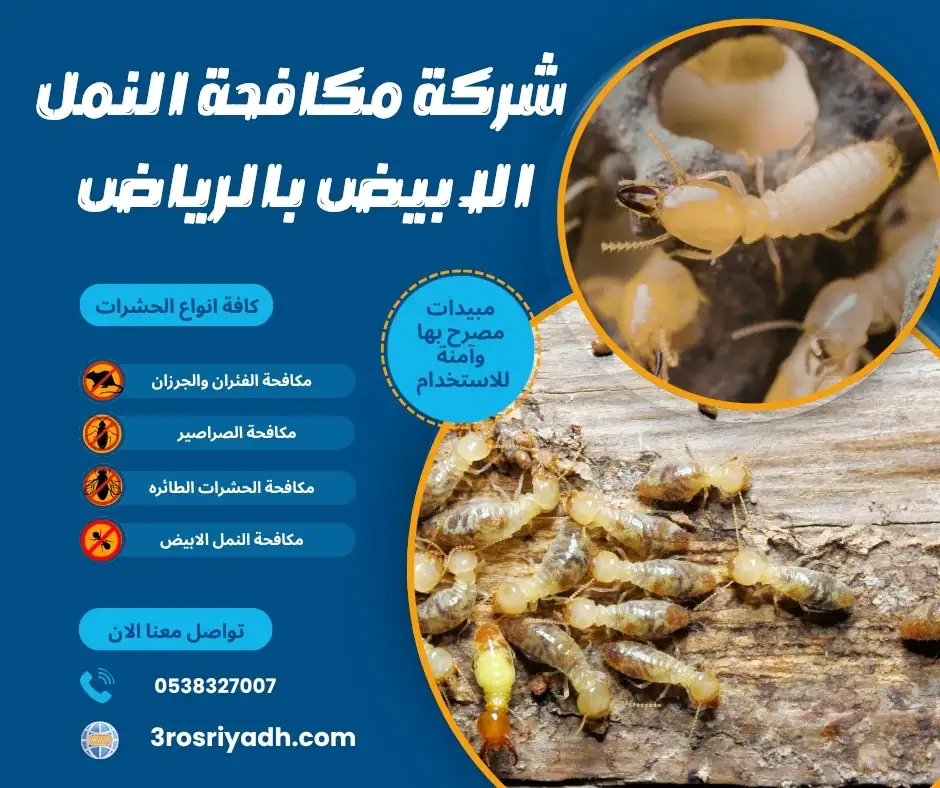 شركة مكافحة النمل الابيض بالرياض 