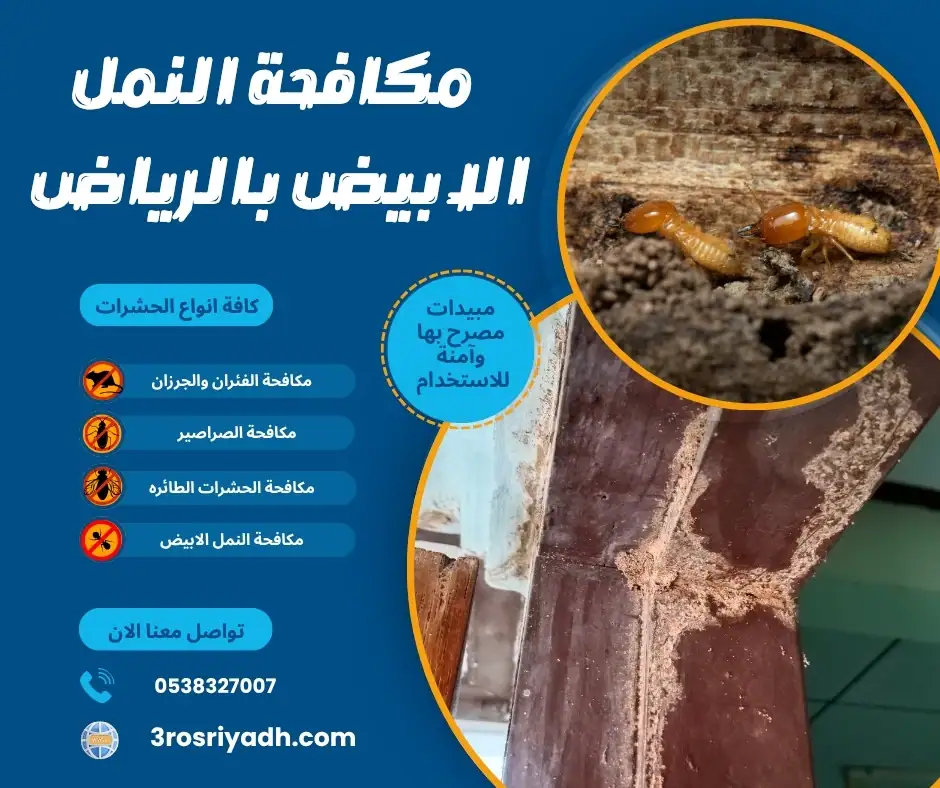 مكافحة النمل الابيض بالرياض 