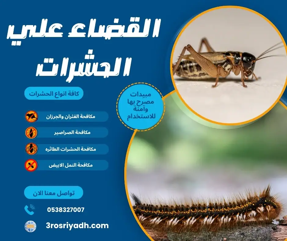 القضاء علي الحشرات