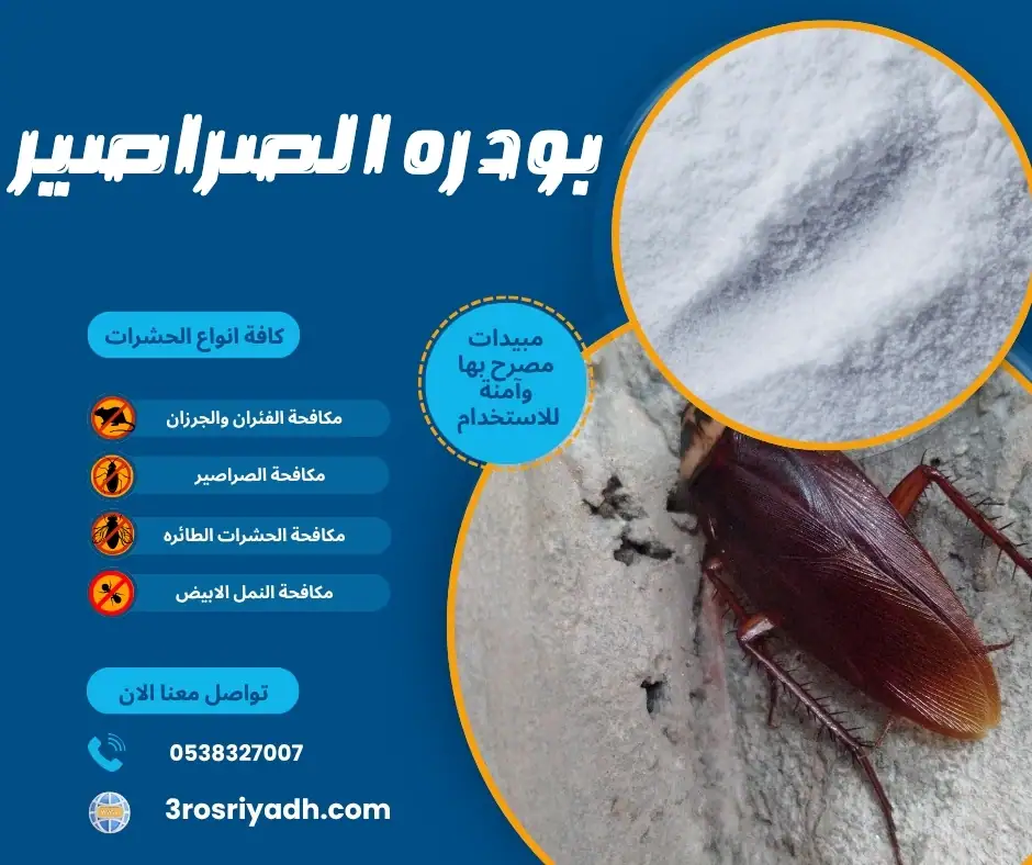 بودره الصراصير