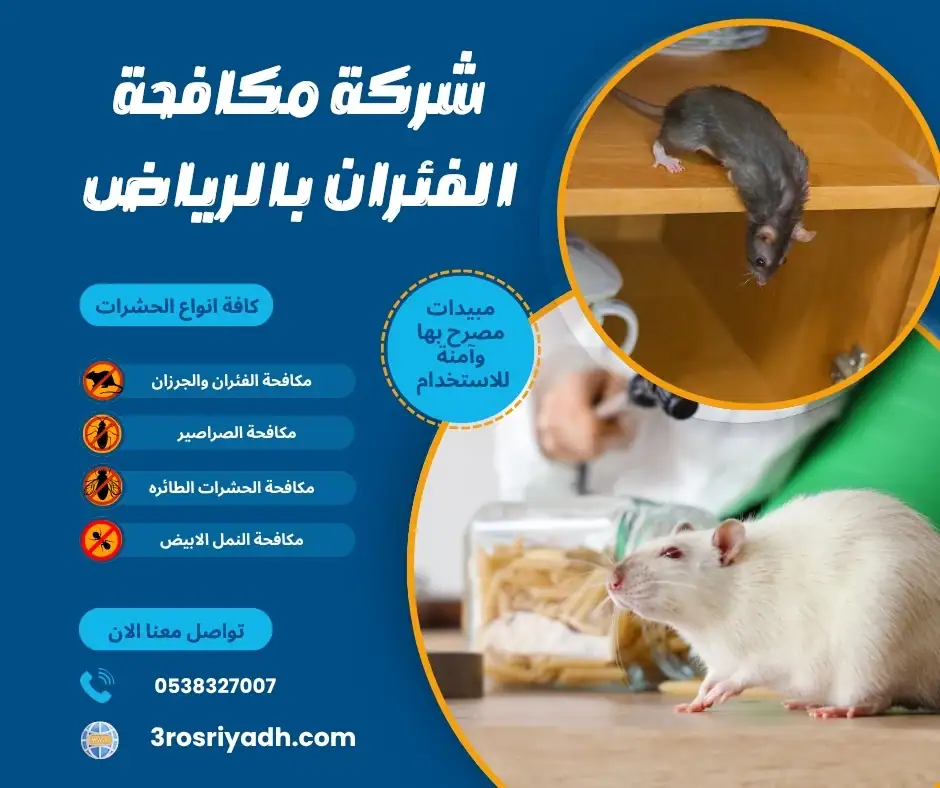 شركة مكافحة الفئران بالرياض