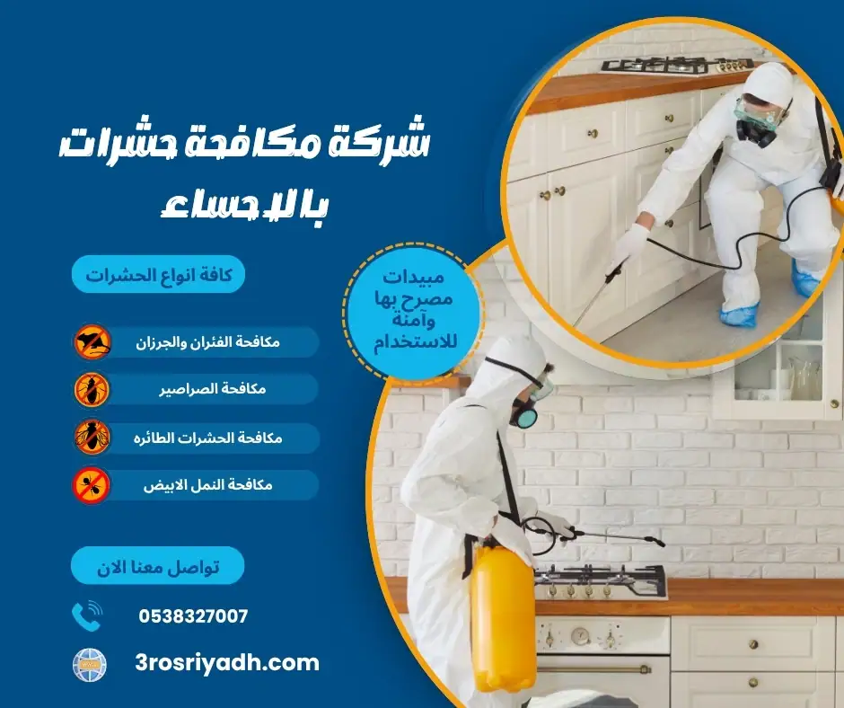 شركة مكافحة حشرات بالاحساء