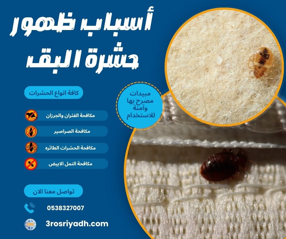 أسباب ظهور حشرة البق