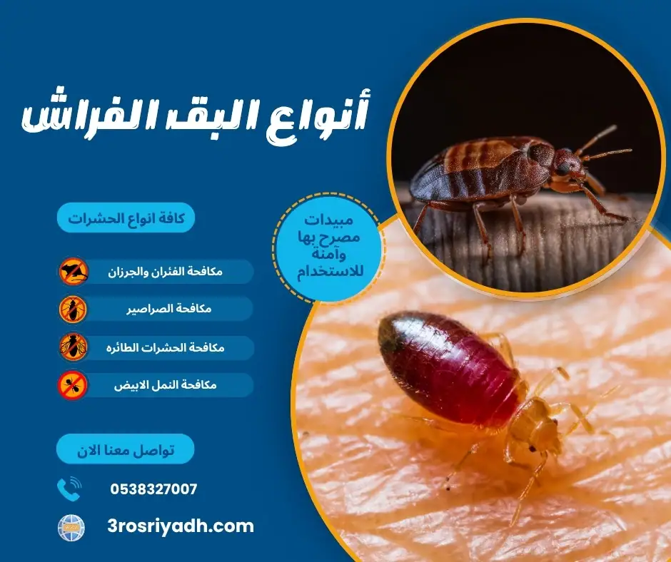 أنواع البق الفراش