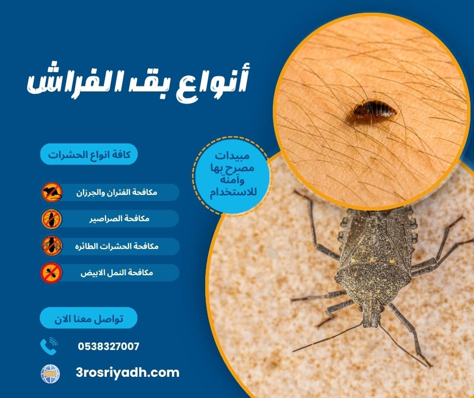 أنواع بق الفراش