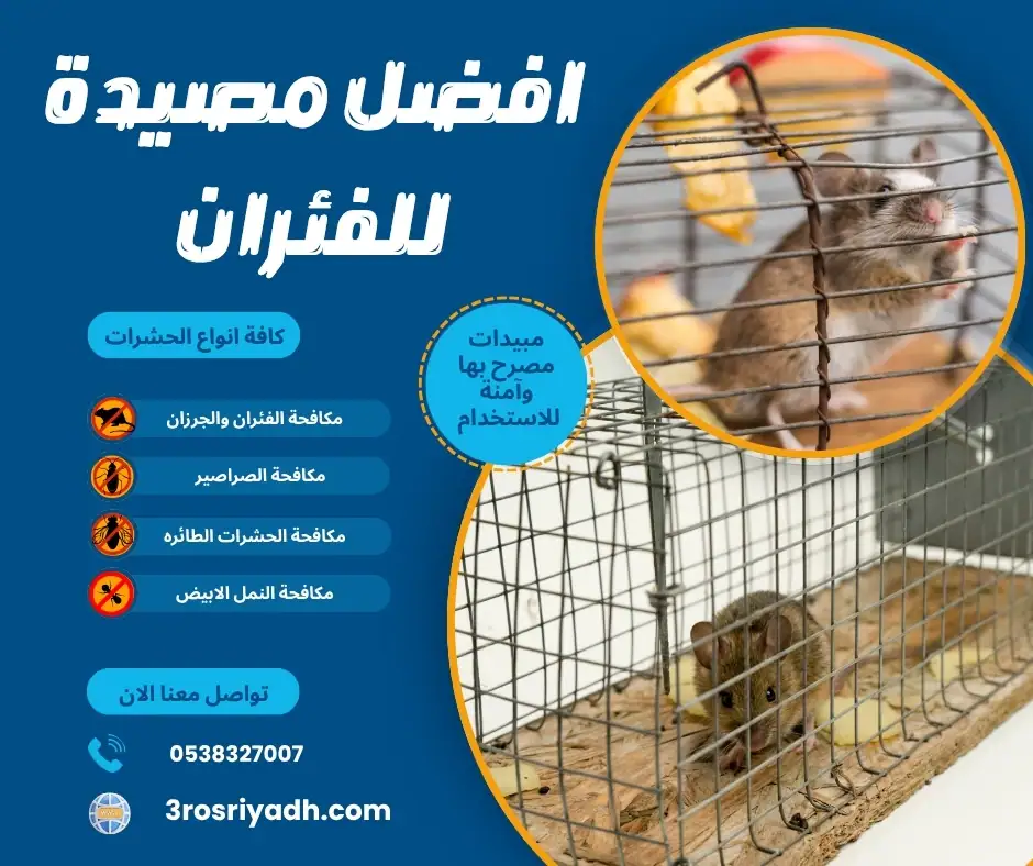 افضل مصيدة للفئران