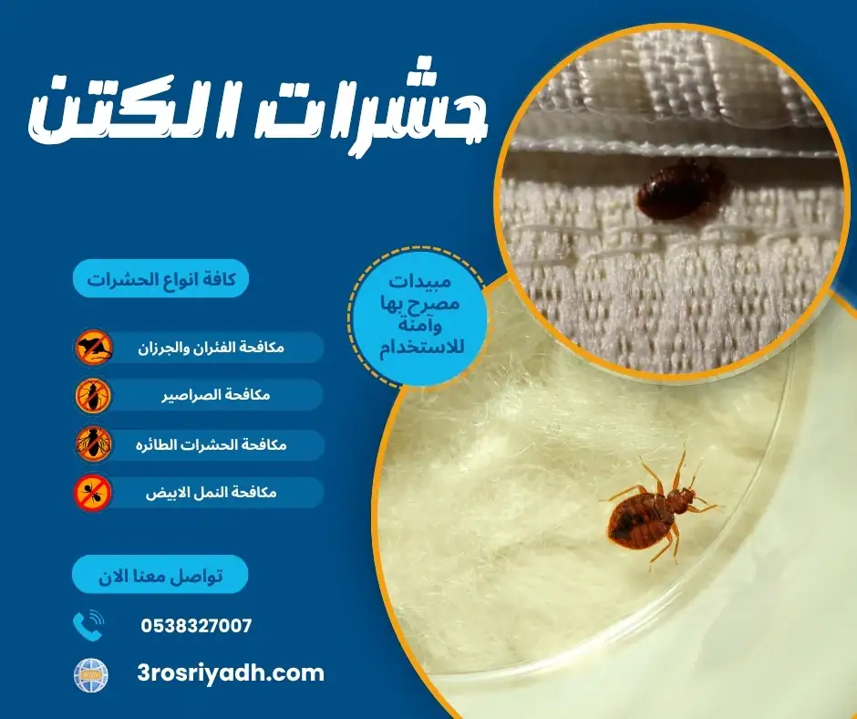حشرات الكتن