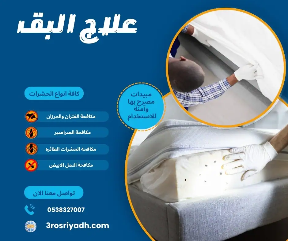 علاج البق