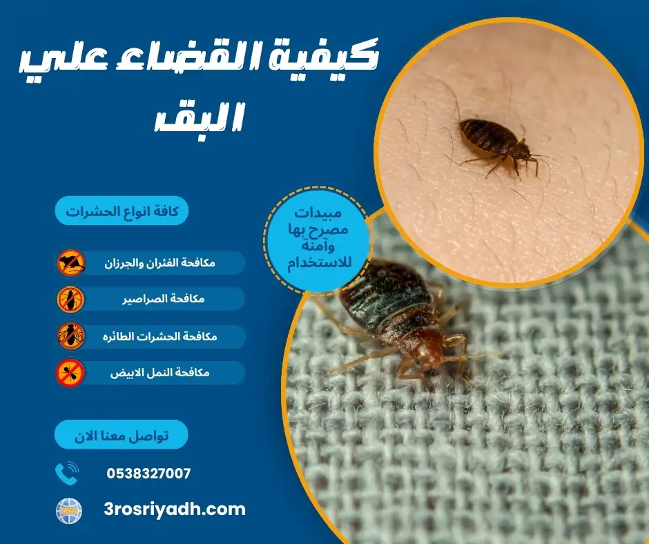 كيفية القضاء علي البق